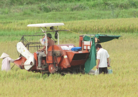 Nông dân Quảng Ninh sử dụng máy gặt trong thu hoạch.
