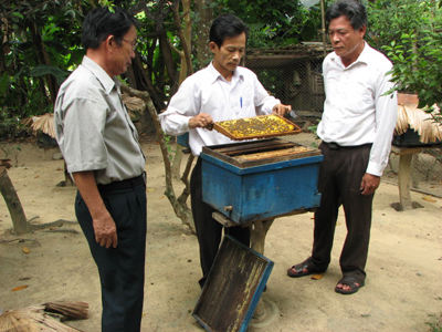 Mô hình nuôi ong đem lại thu nhập cao ở Tuyên Hóa.