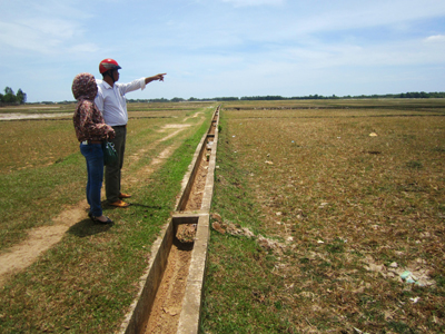 Những ruộng lúa phải bỏ hoang vì thiếu nước sản xuất.
