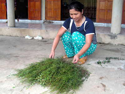 Trước đây, để đủ nguyên liệu nấu dầu, gia đình anh Nguyễn Văn Hùng phải đi 