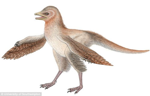 Khủng long Eosinopteryx - Ảnh: ĐH Southampton
