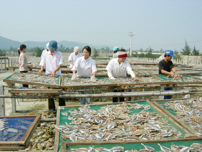Kiểm tra và thu mẫu sau thu hoạch tại một cơ sở chế biến thủy sản khô ở huyện Bố Trạch.