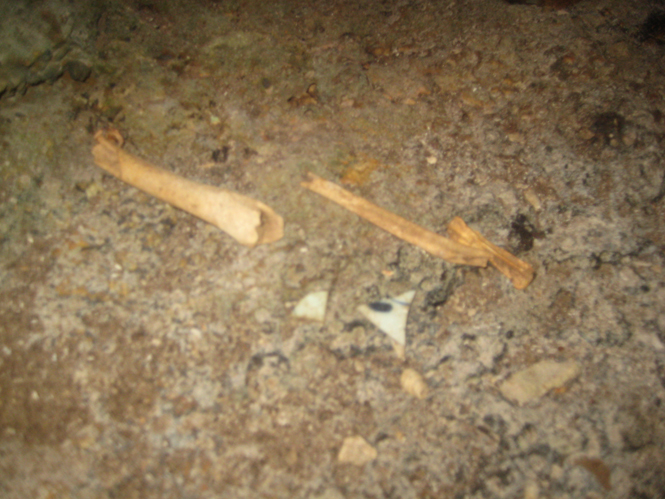 Một mẫu xương trong hang Tố Mộ.