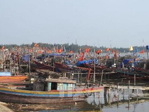 Ảnh minh họa. (Nguồn: TTXVN)