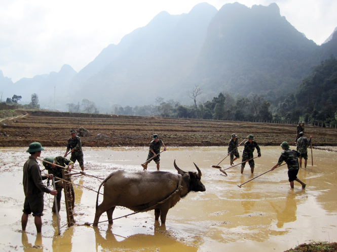 Bộ đội biên phòng Đồn Cà Xèng giúp đồng bào Rục triển khai trồng lúa nước  ở cánh đồng Rục Làn.