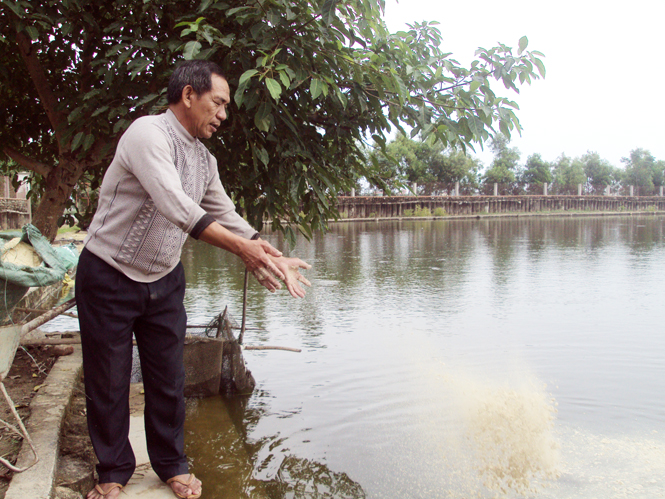 Ông Trương Hoằng cho cá ăn.