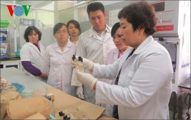  PGS. TS Đặng Thị Cẩm Hà hướng dẫn các nghiên cứu sinh trong phòng thí nghiệm