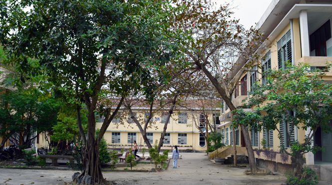 Không gian xanh của Bệnh viện đa khoa huyện Quảng Ninh.