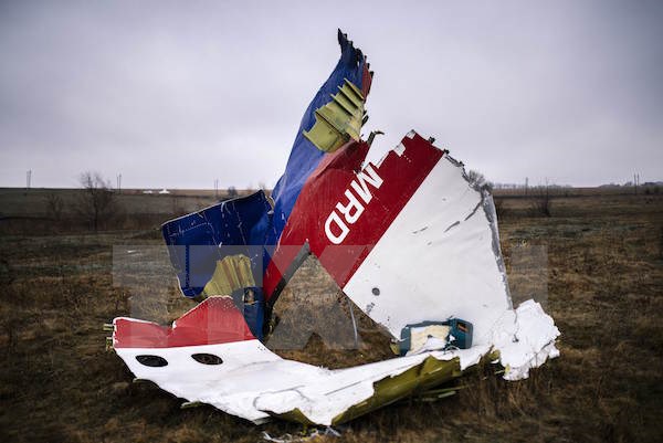 Một phần xác máy bay MH17 ở làng Grabovo, cách Donetsk, Ukraine khoảng 80km về phía Đông. (Nguồn: AFP/TTXVN)