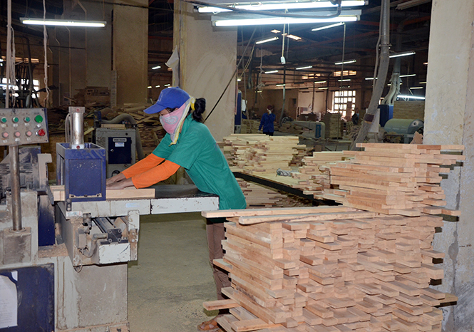 XN chế biến gỗ Phú Qúy là tài sản có giá trị lớn của Công ty TNHH MTV Việt Trung.