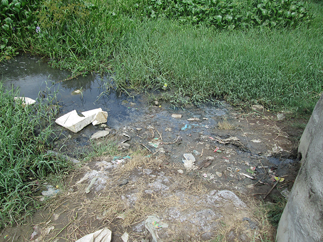 Các hộ sản xuất bún bánh tại làng nghề Tân An, Quảng Thanh, Quảng Trạch xả nước thải chưa qua xử lý ra các mương nước gây ô nhiễm nghiêm trọng.