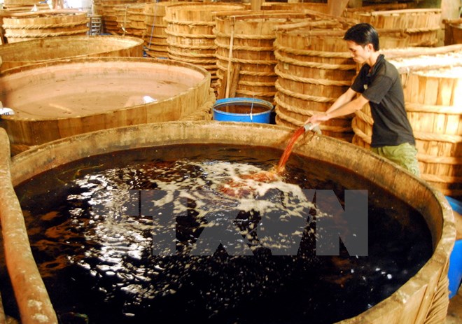 Sản xuất nước mắm ở Phú Quốc. (Ảnh: Thanh Vũ/TTXVN)