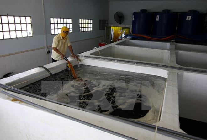 Một cơ sở sản xuất nước mắm. (Ảnh: TTXVN/Vietnam+)