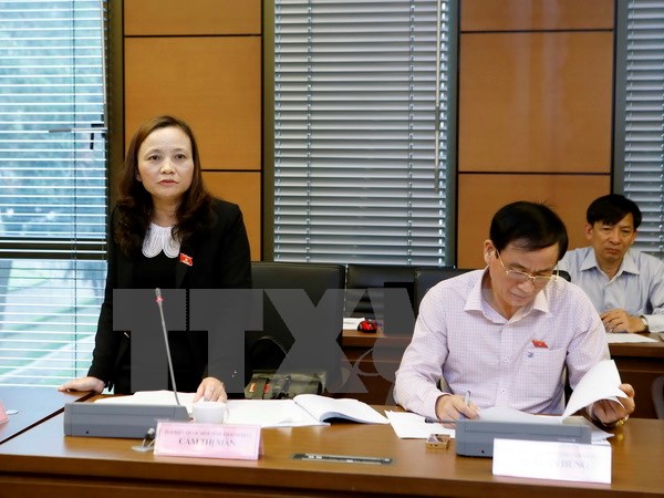 Đại biểu Quốc hội tỉnh Thanh Hóa Cầm Thị Mẫn thảo luận tại tổ. (Ảnh: An Đăng/TTXVN)