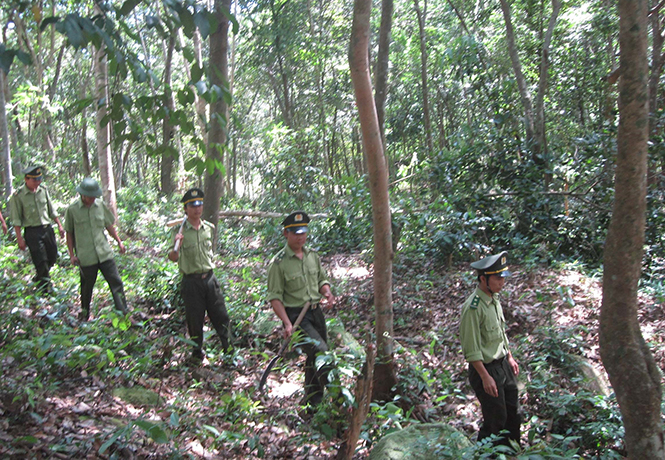  Lực lượng chức năng tuần tra bảo vệ rừng ở Bố Trạch.