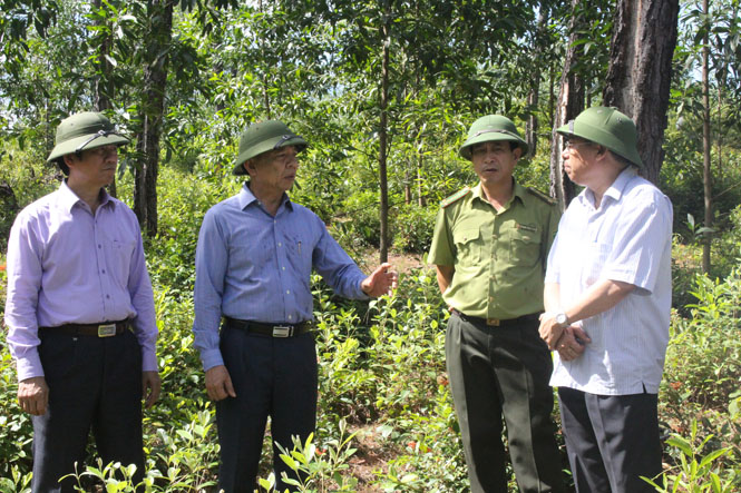 Đồng chí Nguyễn Hữu Hoài, Chủ tịch UBND tỉnh kiểm tra thực tế công tác PCCCR.  