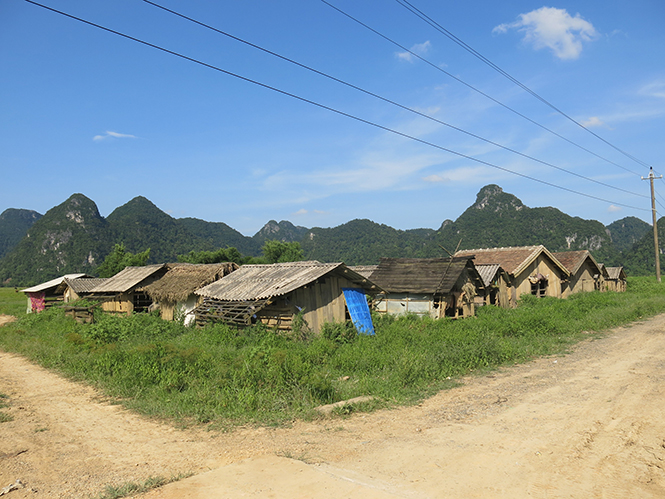 Chuồng trại chăn nuôi trâu bò ở xã Tân Hóa được quy hoạch tập trung.