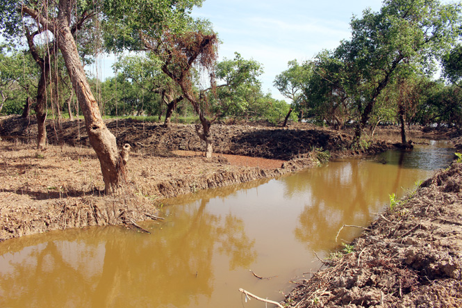 Một “công trường” đào ao nuôi trồng thủy sản ngay giữa rừng đang thực hiện dang dỡ.