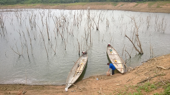  Một góc hồ Rào Đá ở huyện Quảng Ninh, địa điểm thường có các hoạt động thả cá giống về với môi trường tự nhiên.