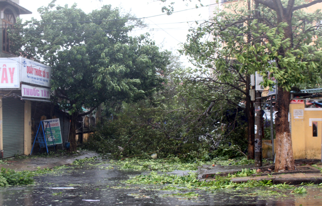 Bão số 10 tàn phá nghiêm trọng môi trường, cảnh quan đô thị thành phố Đồng Hới.