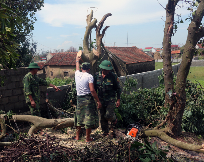 Các cán bộ, chiến sỹ Bộ đội Biên phòng tỉnh gúp dân don dẹp sau bão