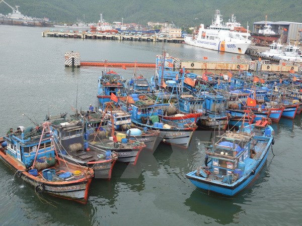 Các phương tiện tàu, thuyền di chuyển về nơi neo đậu an toàn tại âu thuyền Thọ Quang, Đà Nẵng. (Ảnh: Đinh Văn Nhiều/TTXVN)