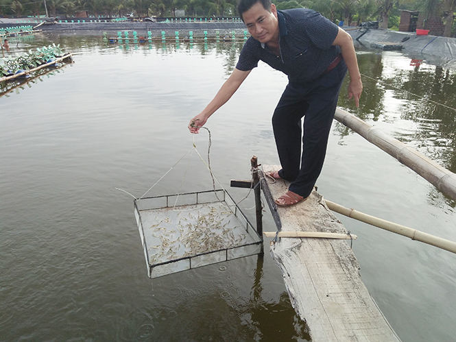 Người dân xã Hải Ninh sẵn sàng nuôi trồng thủy sản trở lại.