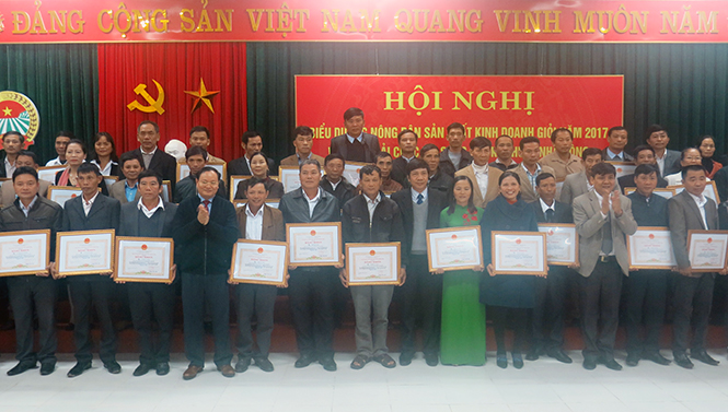 Anh Nguyễn Quang Ngọc vừa được Chủ tịch UBND tỉnh tặng bằng khen về thành tích xuất sắc trong sản xuất kinh doanh giỏi.