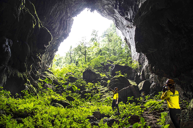 Công ty TNHH Jungle Boss của anh Lê Lưu Dũng mạnh dạn khai thác các tour mạo hiểm khám phá thiên nhiên.