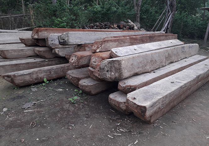 Số gỗ lậu này được phát hiện tại khu vực khe Hà Vầy, tiểu khu 19, xã Thanh Hóa.