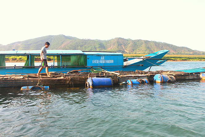 Nghề nuôi cá trằm lồng sẽ trở thành điểm nhấn cho du lịch cộng đồng ở xã Sơn Trạch.