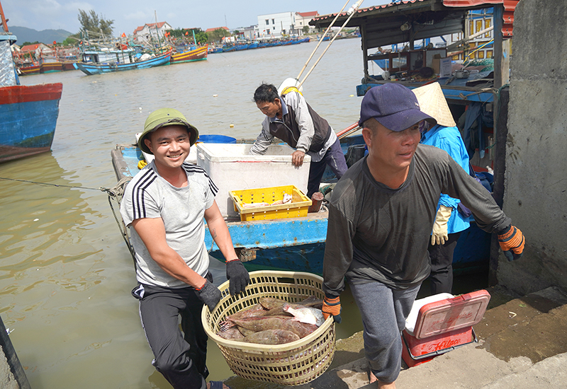 Quảng Trạch: Ngư dân phấn khởi đón "lộc biển" đầu năm