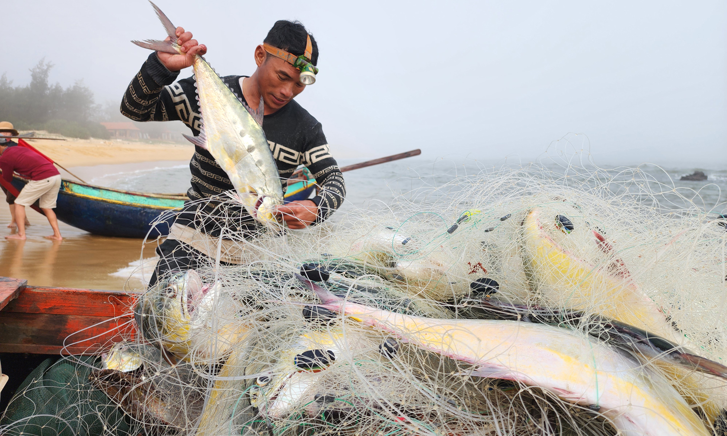 Bố Trạch: Một ngư dân trúng mẻ lưới gần 100 con cá bè