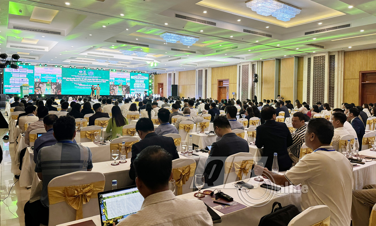 Hội nghị Điều quốc tế Việt Nam lần thứ 13 diễn ra tại TP. Đồng Hới