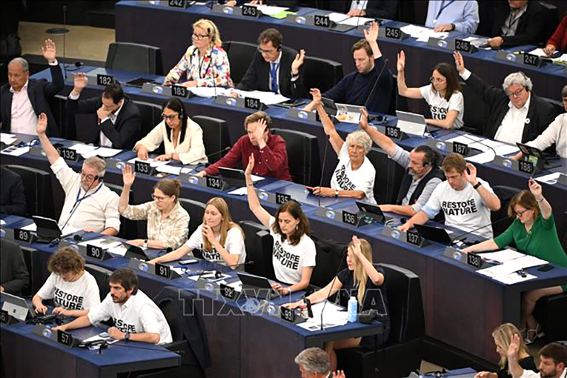 Phụ nữ đang ngày càng hiện diện nhiều hơn tại Nghị viện châu Âu