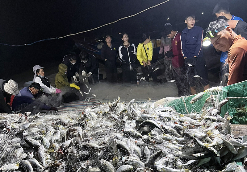 Hải Ninh: Ngư dân trúng luồng cá đù