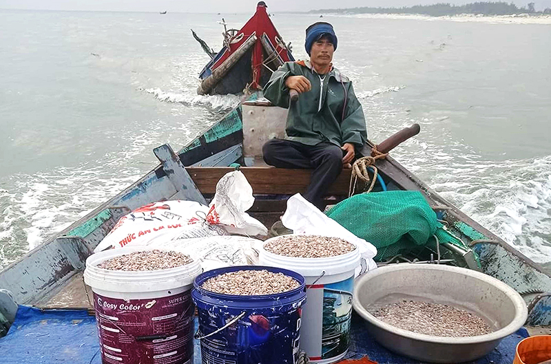 Ngư dân Hải Ninh trúng đậm ốc ruốc