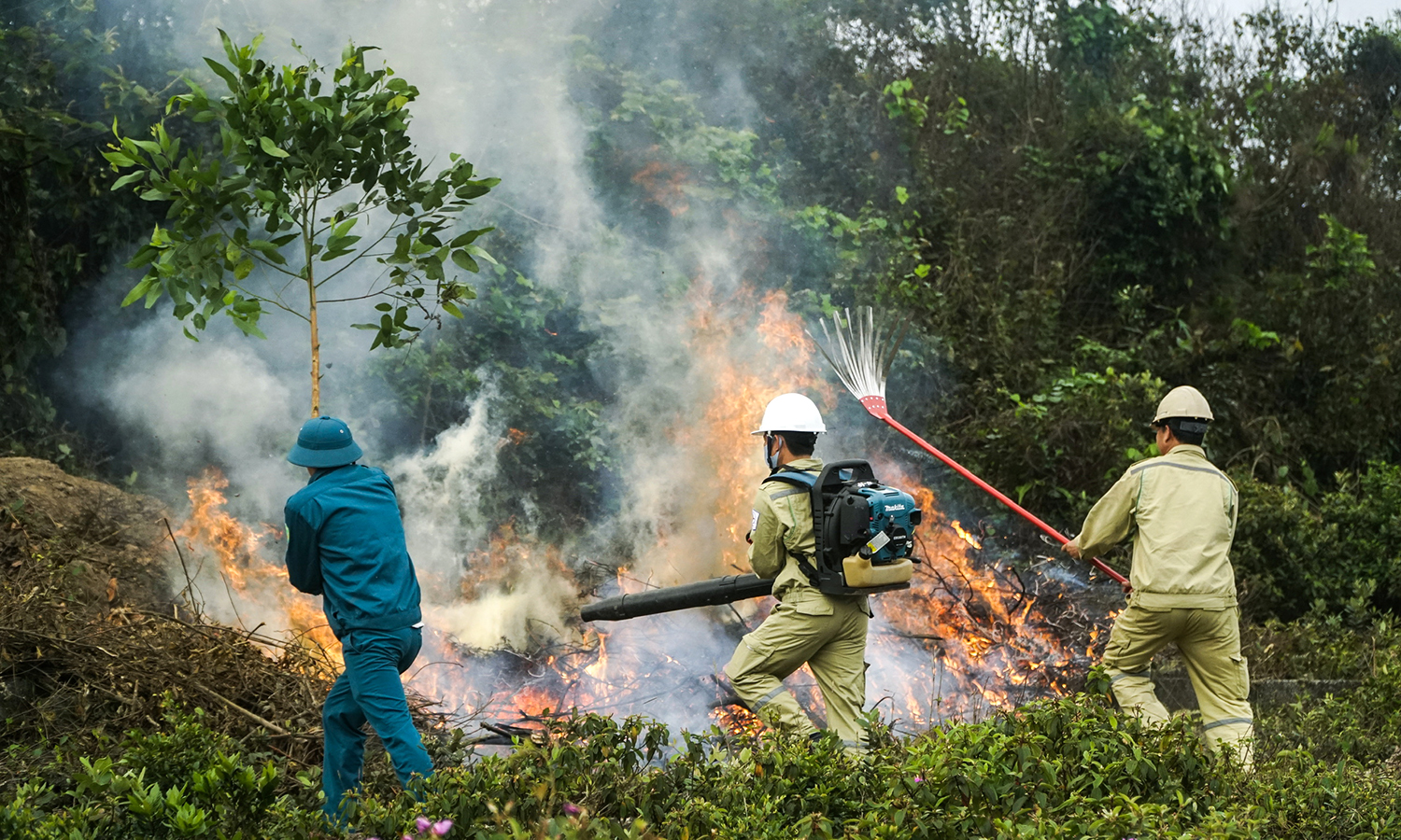 Chủ động thực hiện các biện pháp phòng cháy, chữa cháy rừng