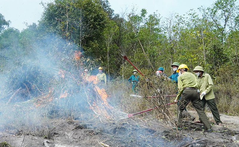 Diễn tập chữa cháy rừng tại Vườn Quốc gia Phong Nha-Kẻ Bàng
