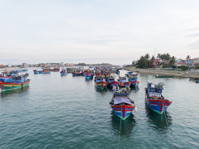 Thành phố Đồng Hới có trên 500 tàu thuyền đánh bắt cá. Ảnh: M.Q