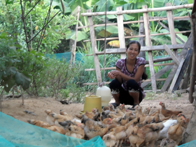 Chị Nguyễn Thị Thuân chăm sóc đàn gà.