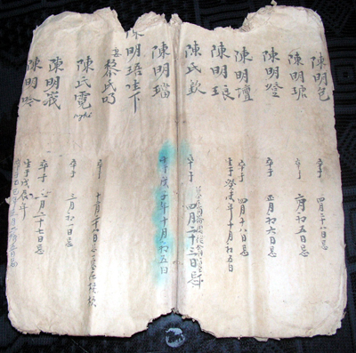 Gia phả một phái của dòng họ Trần Minh (Tuy Lộc, Lộc Thủy, Lệ Thủy), được viết trên giấy bổi, vẫn còn  nguyên màu mực tàu.