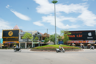 Cây cảnh trồng quá cao che khuất tầm nhìn (bùng binh trước bến xe Đồng Hới).