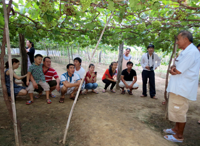 Ông Ba Mọi, chủ trang trại nho Ba Mọi, đang hướng dẫn cho khách thăm quan về quy trình sản xuất nho an toàn.