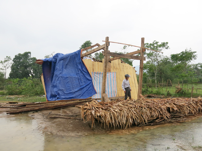 Nhà anh Đinh Quang Phát ở xã Yên Hóa sống tạm trong cái lều nhỏ dựng lên dưới chỗ nhà bị sập.