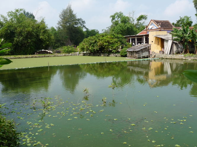  Nhiều hộ gia đình ở thôn Tuy Lộc, xã Lộc Thủy mở rộng diện tích hồ nuôi cá nước ngọt tăng thêm nguồn thu nhập.                     Ảnh: P.V