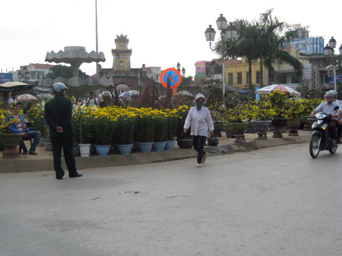 Tổ chức đường hoa xuân, điểm hoa xuân đã trở thành hoạt động thường niên của thành phố