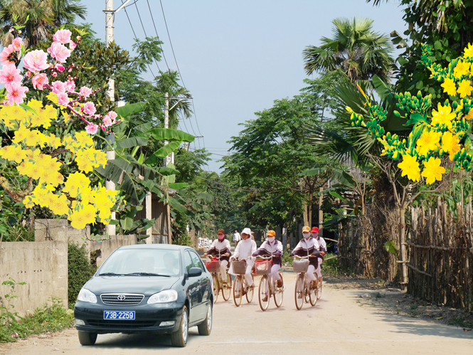 Xuân đã về trên vùng quê Mai Hóa. Ảnh: T.H