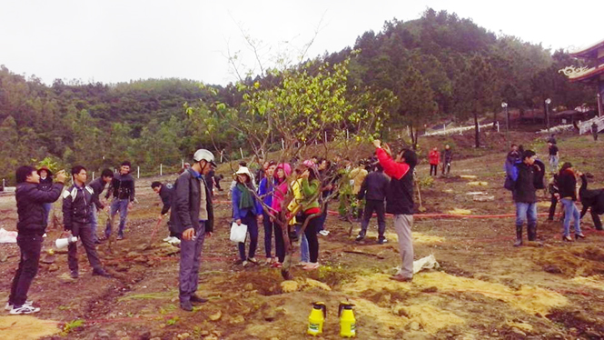 Đoàn viên thanh niên Quảng Trạch trồng những cây mai đầu tiên trong khu mộ Đại tướng Võ Nguyên Giáp.