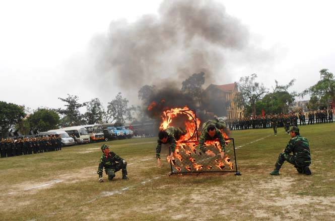 Biểu diễn võ thuật